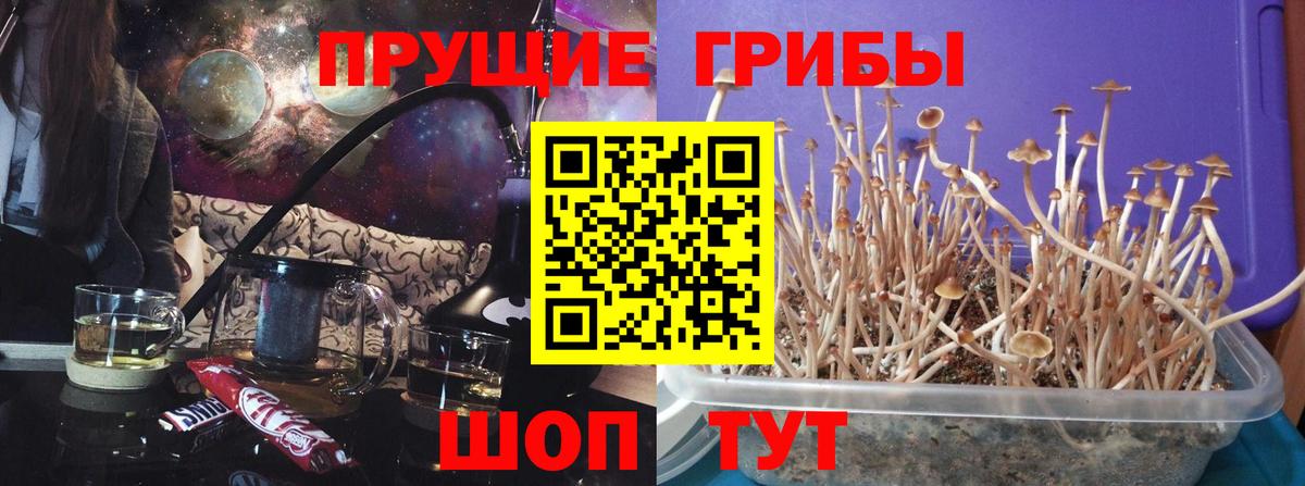 Галлюциногенные грибы Magic Shrooms Ирбит